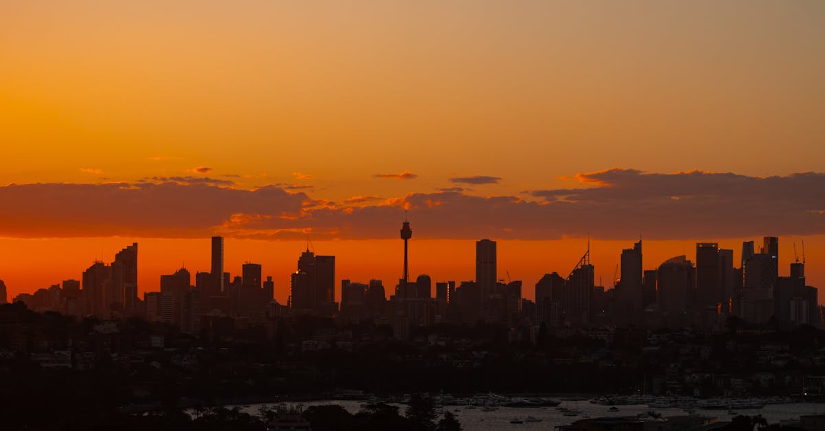 The Role of Licensing in Choosing a Private Investigator in Sydney